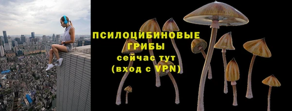 спиды Алексеевка