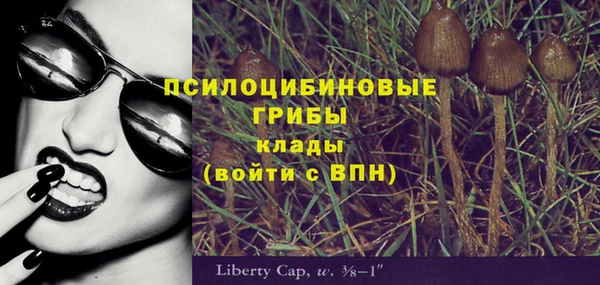 спиды Алексеевка
